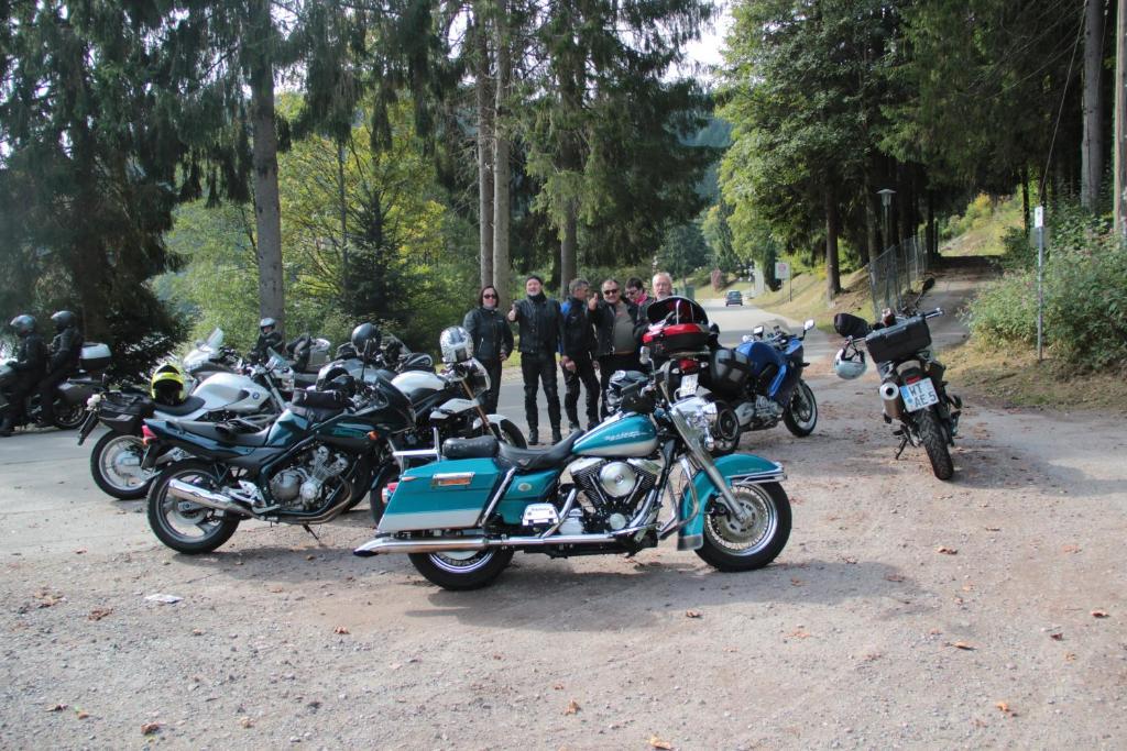 Hotel Krone Stuehlingen - Das Tor Zum Suedschwarzwald Ngoại thất bức ảnh
